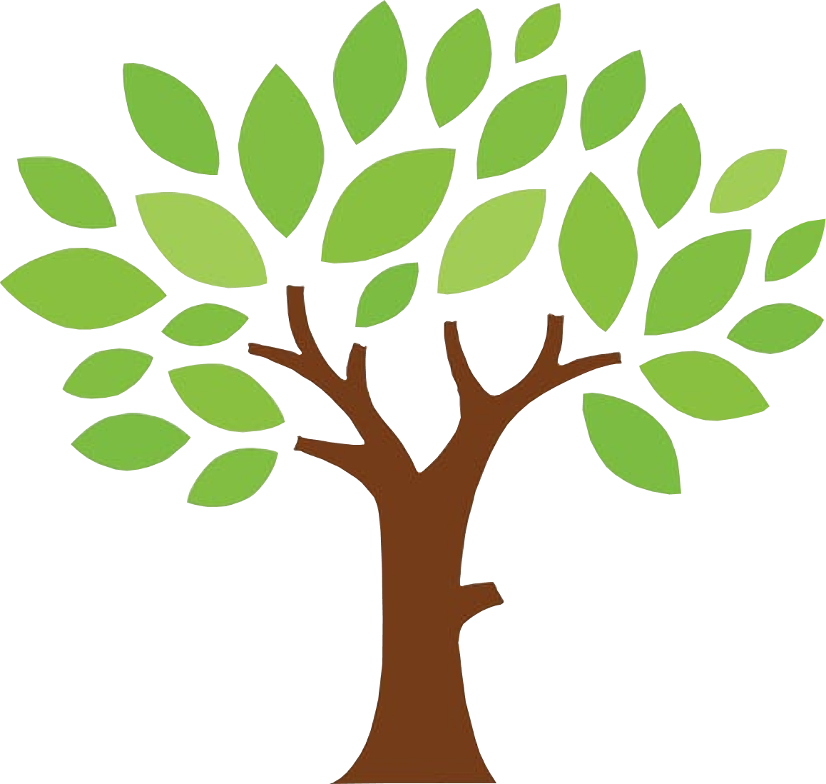 image of a small tree with green leaves which represents an orange tree in respect of the logo image of Orange Tree Car Wash and Valet
