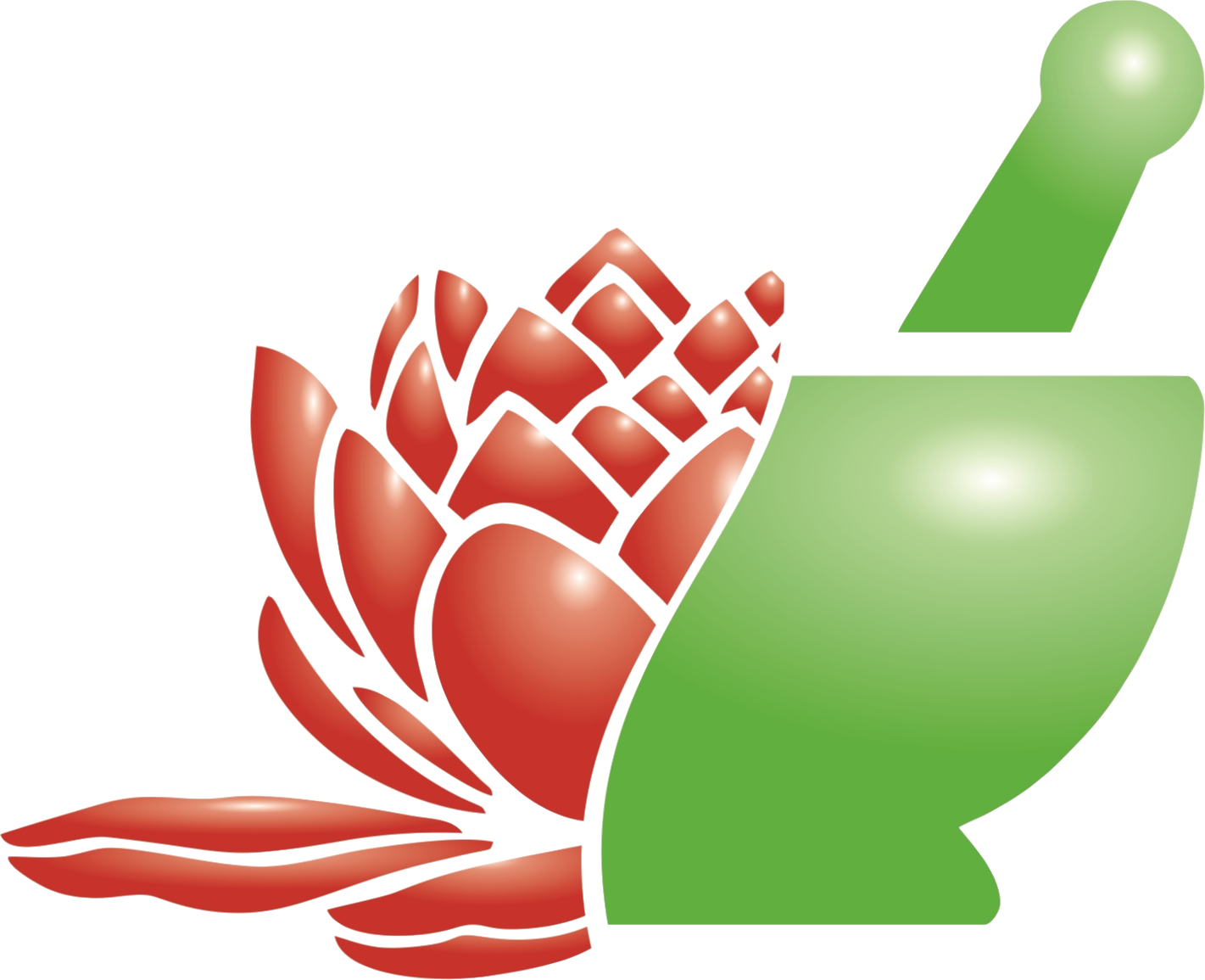 logo image that consists of a protea flower and a stone grind bowl for a chemist